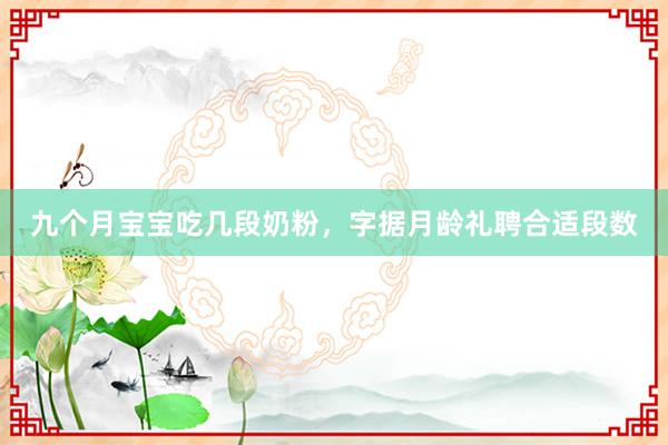 九个月宝宝吃几段奶粉，字据月龄礼聘合适段数